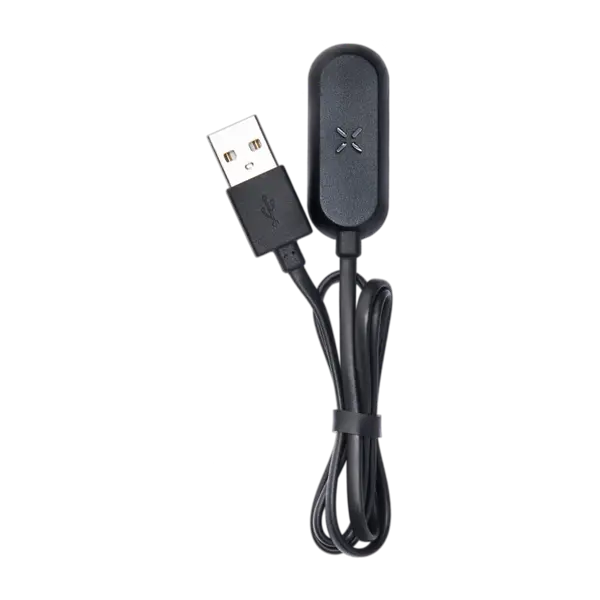 BUY 1 GET 1 FREE PAX USB Charging Cable | Vape Premium