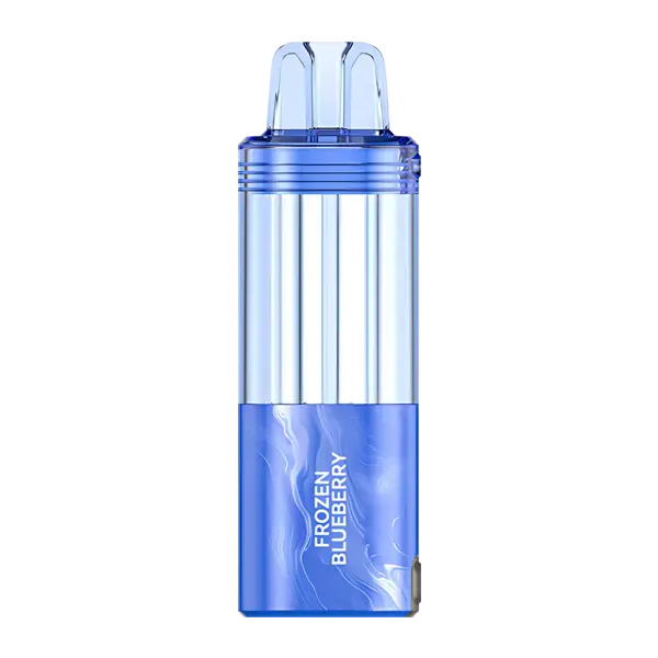 BUY 1 GET 1 FREE Frozen Blueberry FOGER Switch Pro Disposable | Vape Premium